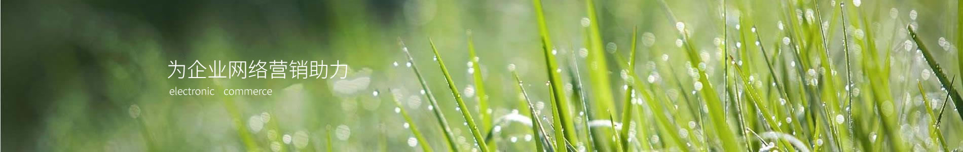 ϺʵҵƼ޹˾